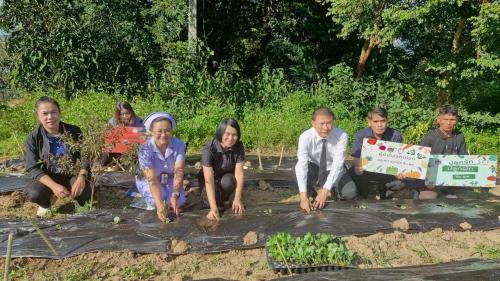 ร่วมปลูกผัก แบ่งปันกับพช. 